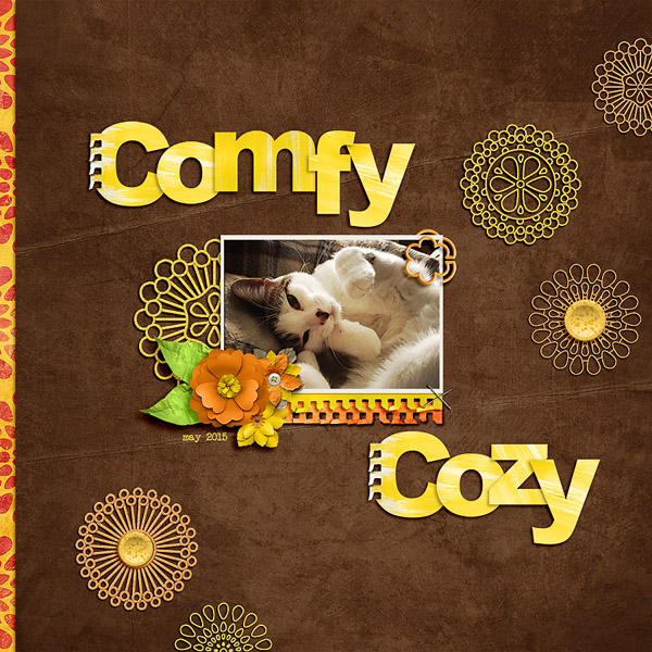 comfy cozy