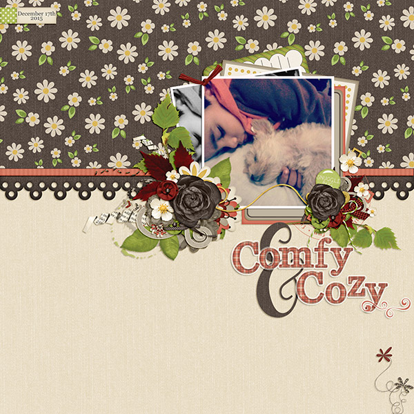Comfy + Cozy