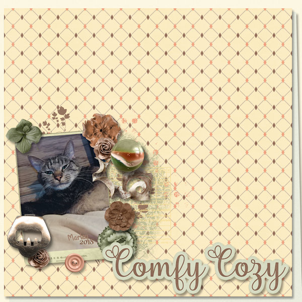Comfy Cozy