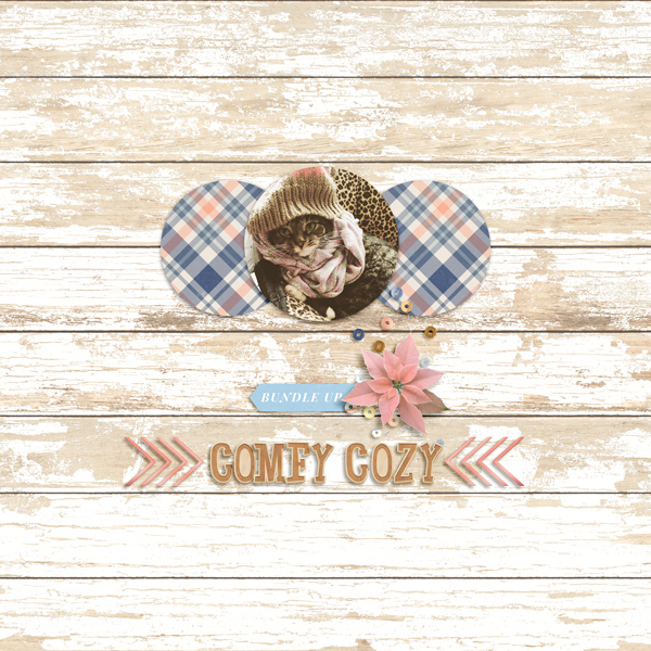 comfy cozy