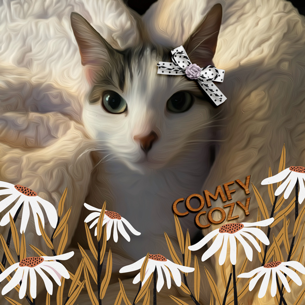 comfy cozy