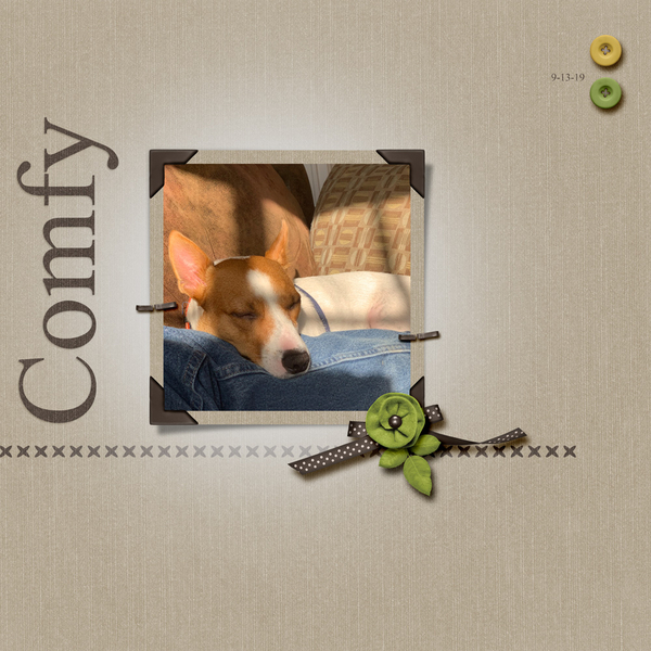 Comfy