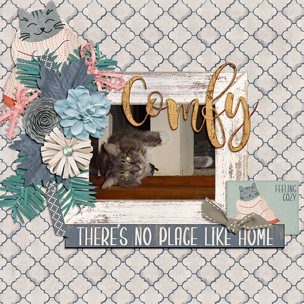 Comfy