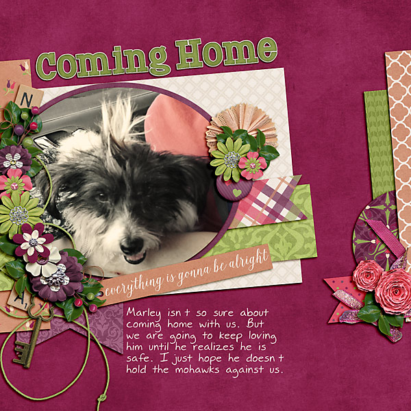 Coming Home