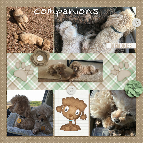Companions-Sep pocket scrap
