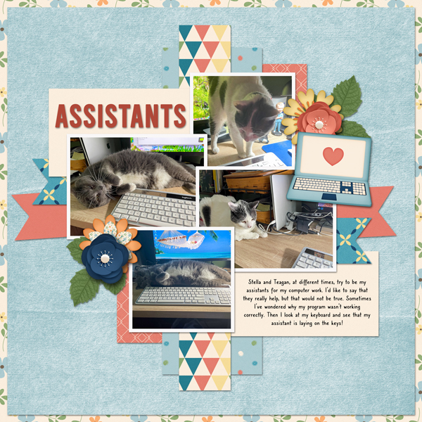 Computer Assistants