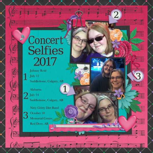 Concert Selfies 2017
