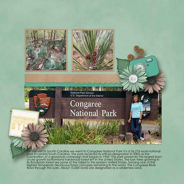 Congaree_Park