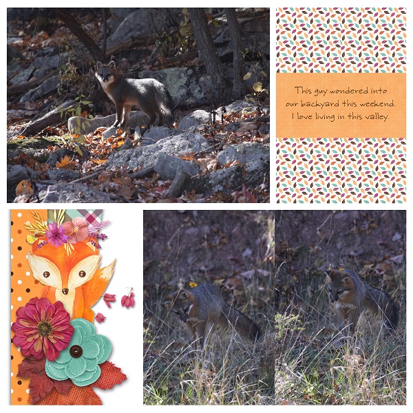 Connie Prince #2018 September Bundle