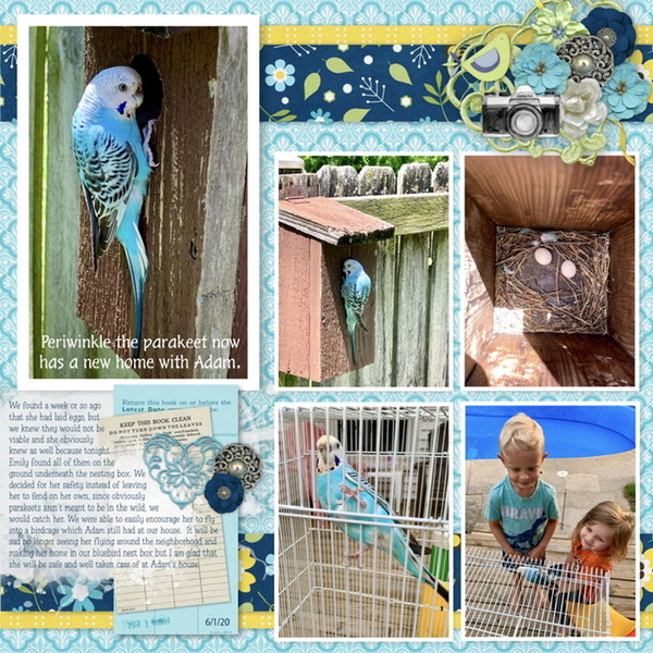 Connie Prince June Mini Kit Challenge: Periwinkle the Parakeet {Part 2}