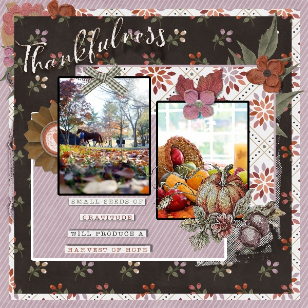 Connie Prince November 2020 Thankfullness