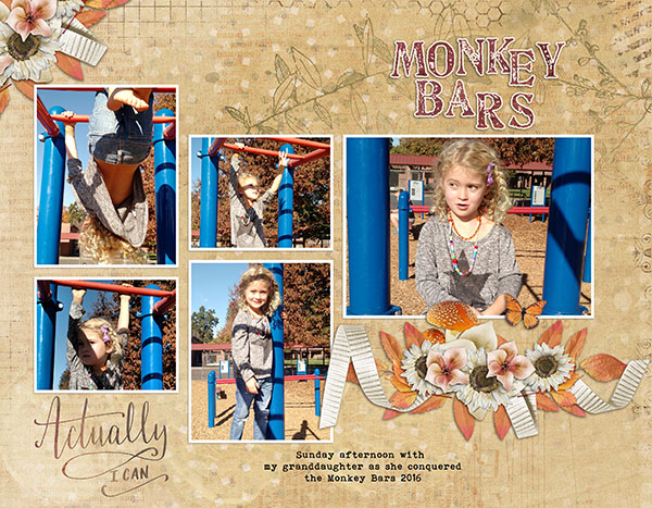 Conquering The Monkey Bars