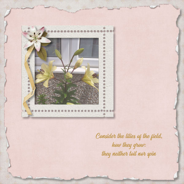 Consider the lilies