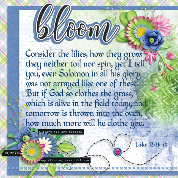 Consider the Lilies