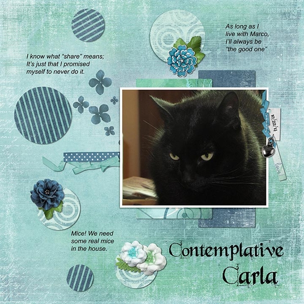 Contemplative Carla
