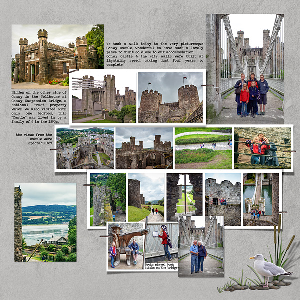 Conwy Castle RHS