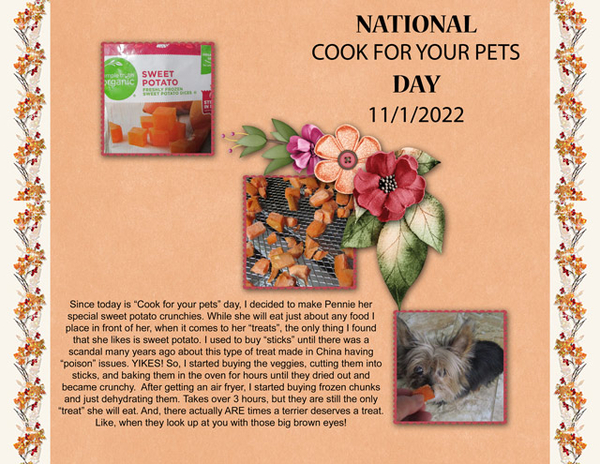 Cook For Your Pet Day