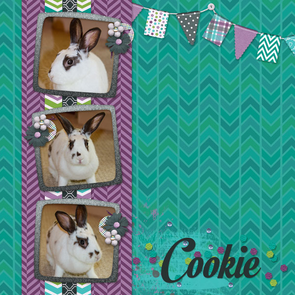 Cookie
