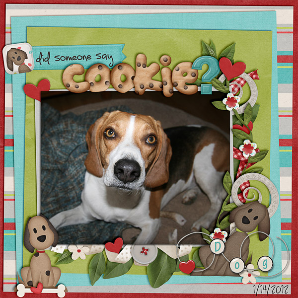 Cookie?