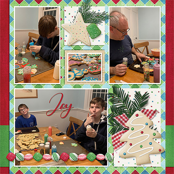 Cookies 2018 L
