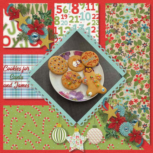 Cookies for Santa and James