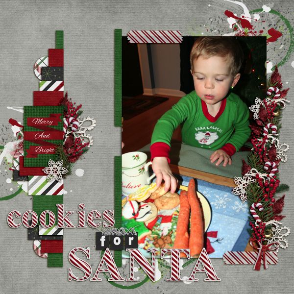 Cookies for Santa