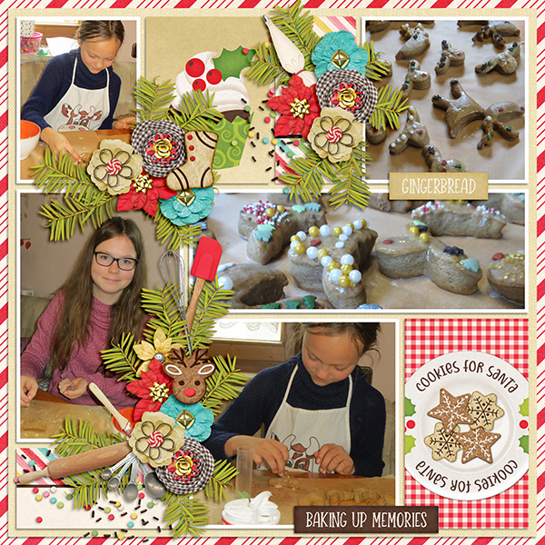Cookies for Santa
