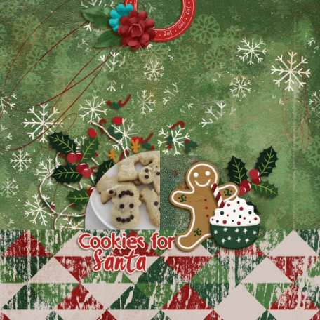 Cookies for Santa