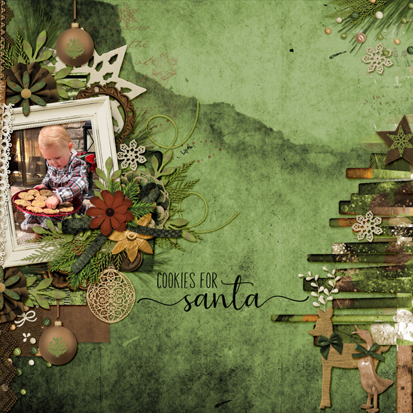 Cookies for Santa