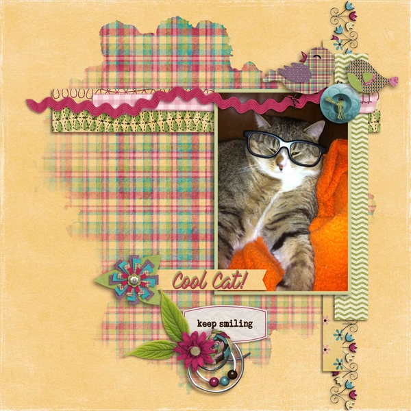 Cool Cat