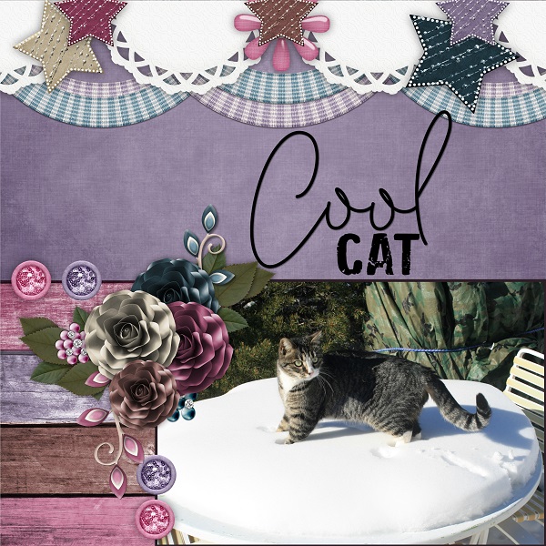 Cool Cat