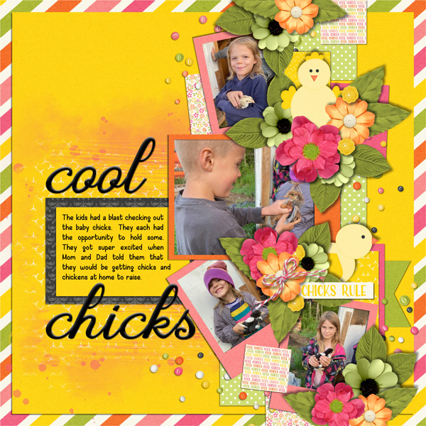 Cool Chicks