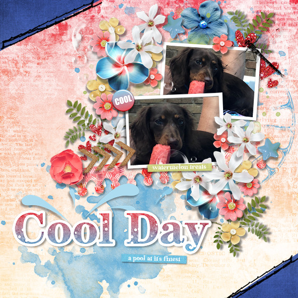 Cool Day