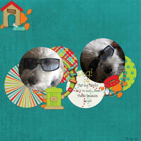 Cool Dog