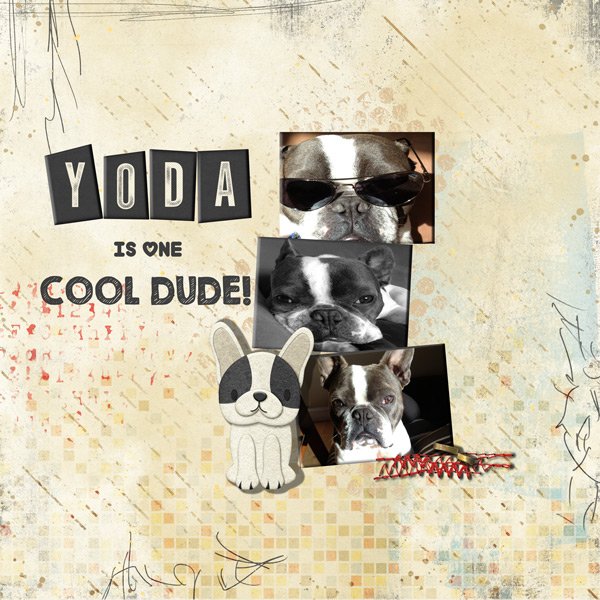 COOL DUDE!