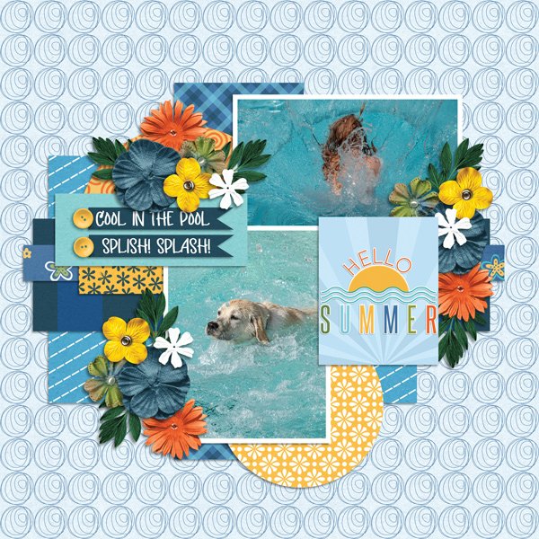 Cool-in-the-Pool.jpg