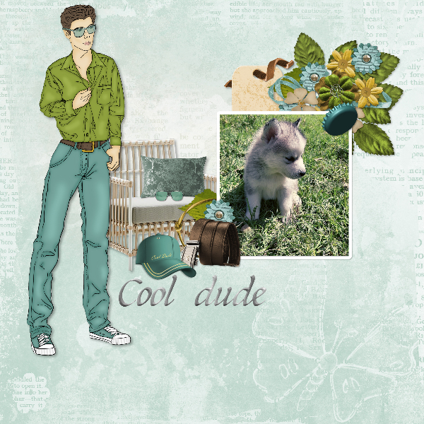Cool puppy