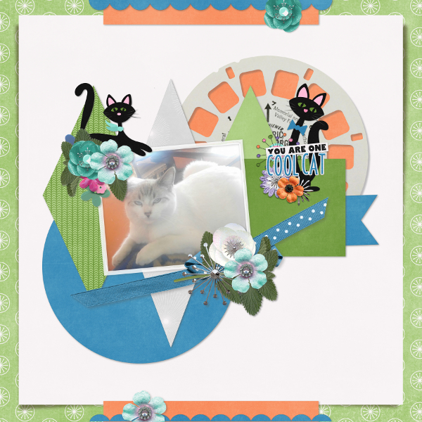 Cool_cat2
