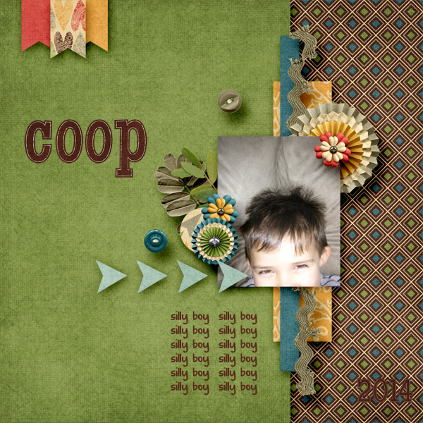 Coop