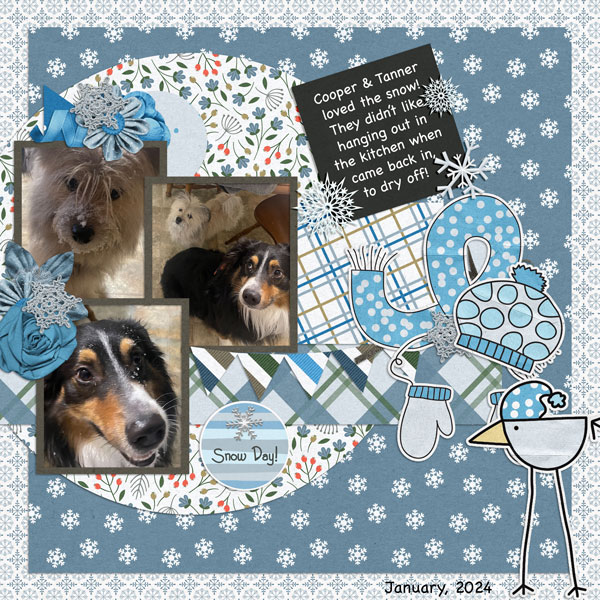 Cooper and Tanner-Snowed In