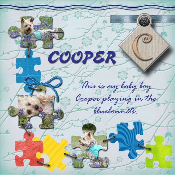 Cooper