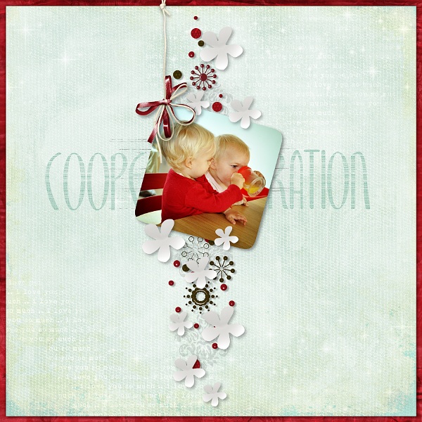 Cooperation
