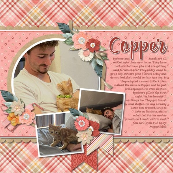 Copper.jpg