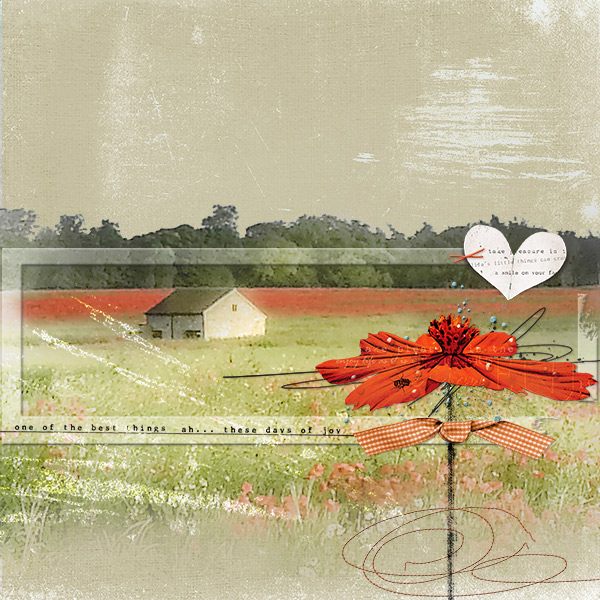 Coquelicots