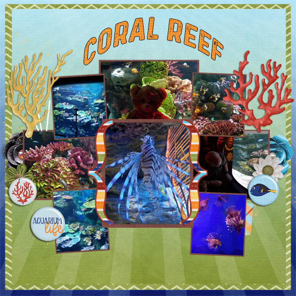 Coral Reef 5/15