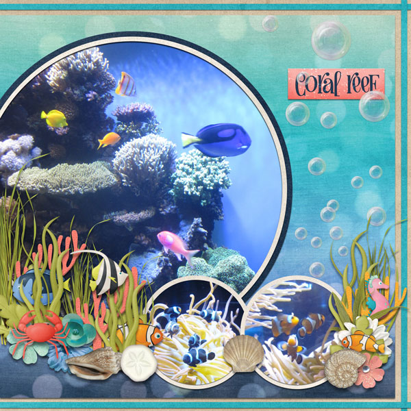coral reef