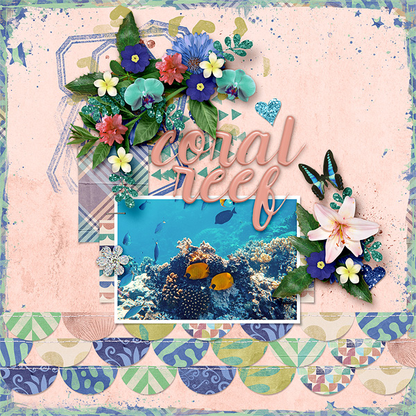 Coral Reef