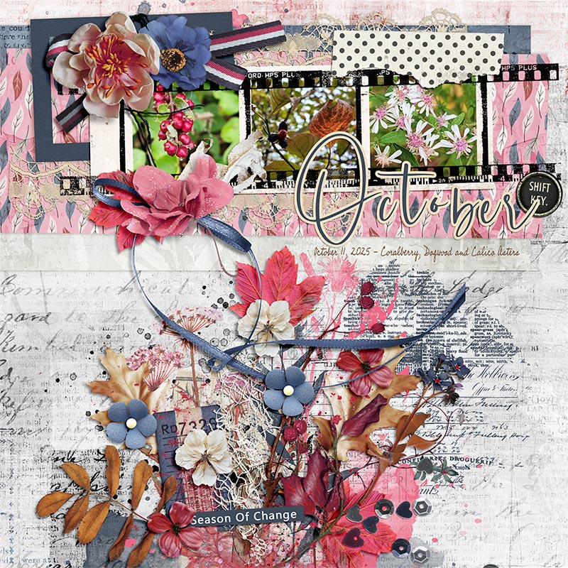 Coralberry, Dogwood, and Calico Asters