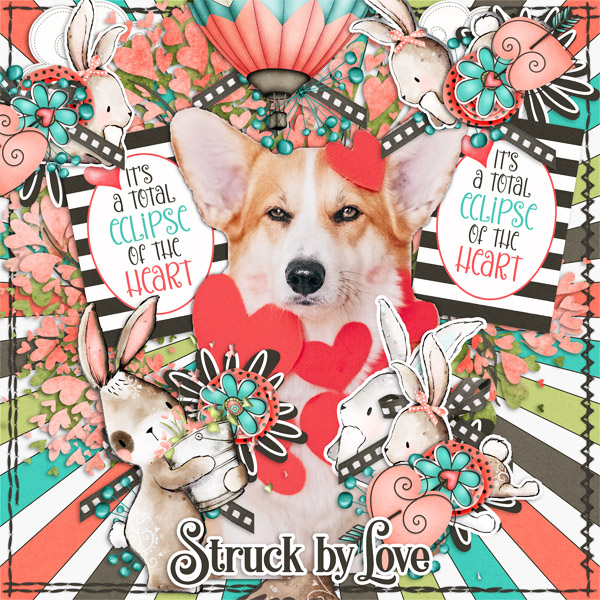 Corgi Love