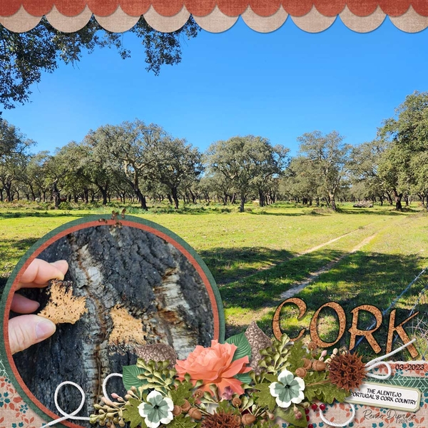 Cork Trees